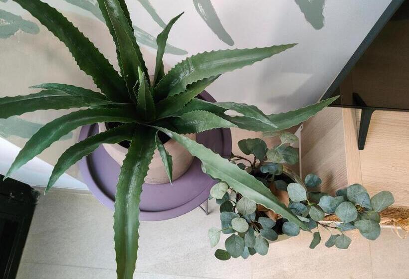 Hola Apartament Alicante