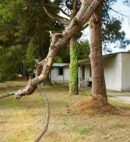 Natura