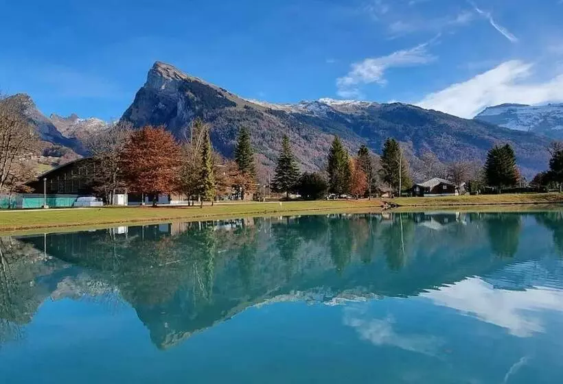 Samoens Studio Falconniere