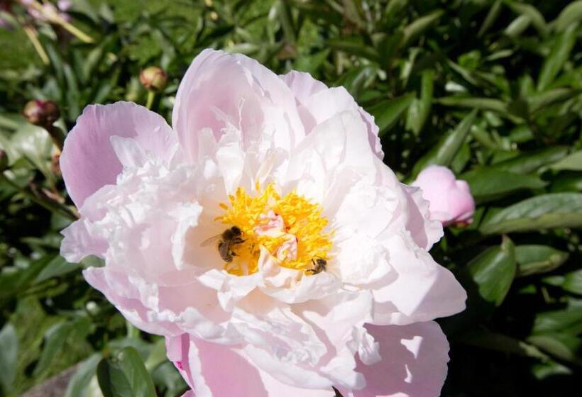 Bed and Breakfast Schtûbat