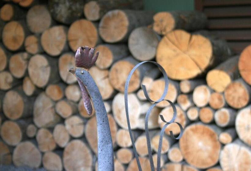 ホテル Alpensonne