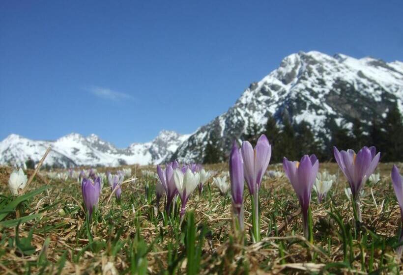 ホテル Alpensonne