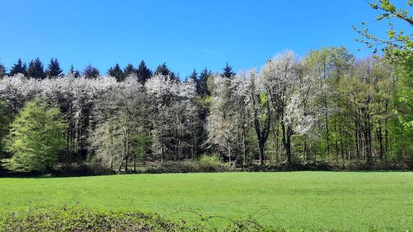 ホテル Auberge A Gen Kirk B&b