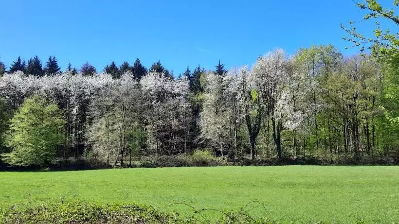 Отель Auberge A Gen Kirk B&b