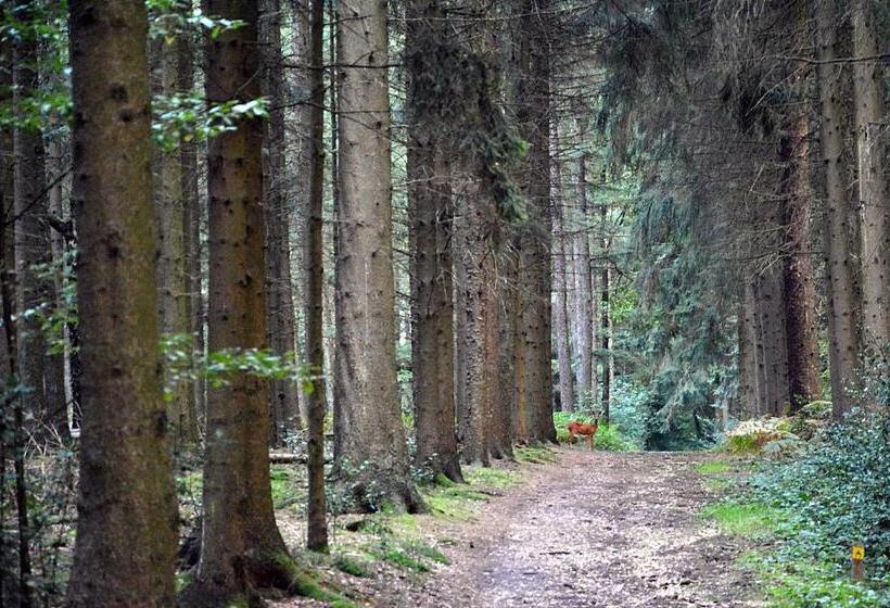 ホテル Auberge A Gen Kirk B&b