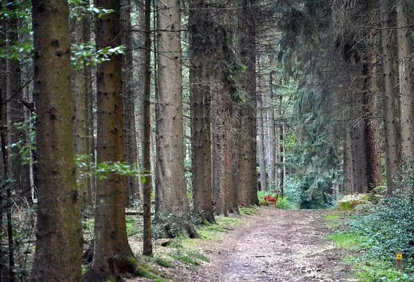 Отель Auberge A Gen Kirk B&b