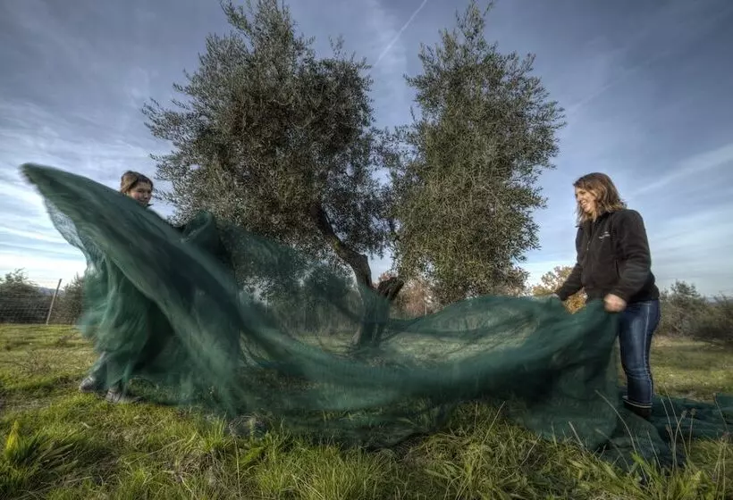 ホテル Castello Vicchiomaggio