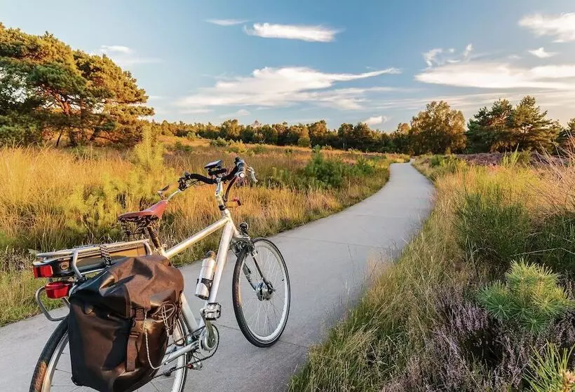 בית מלון כפרי De Wereld