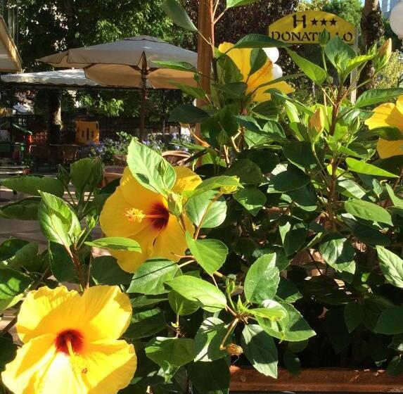 The Donatello Hotel Cesenatico