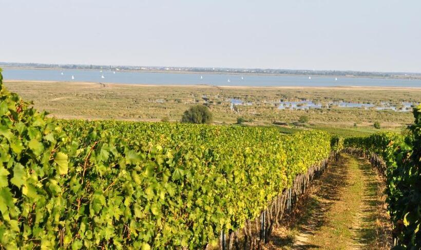 Отель Haus Kranixfeld Fischl