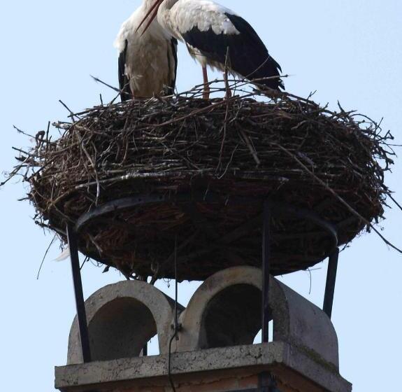 Отель Haus Kranixfeld Fischl