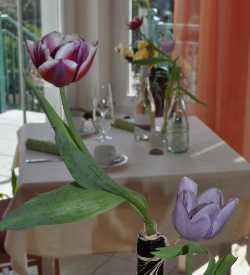 Отель Haus Kranixfeld Fischl