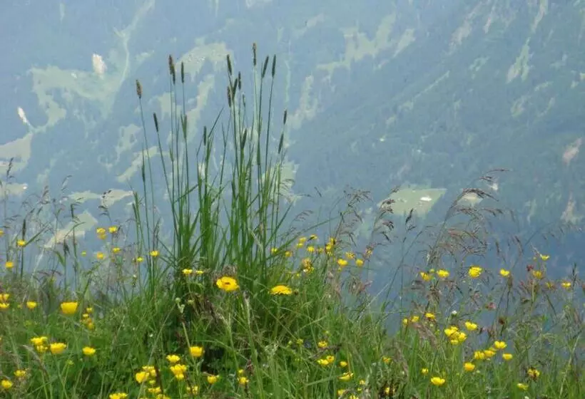 Hotelli Montjola Nova