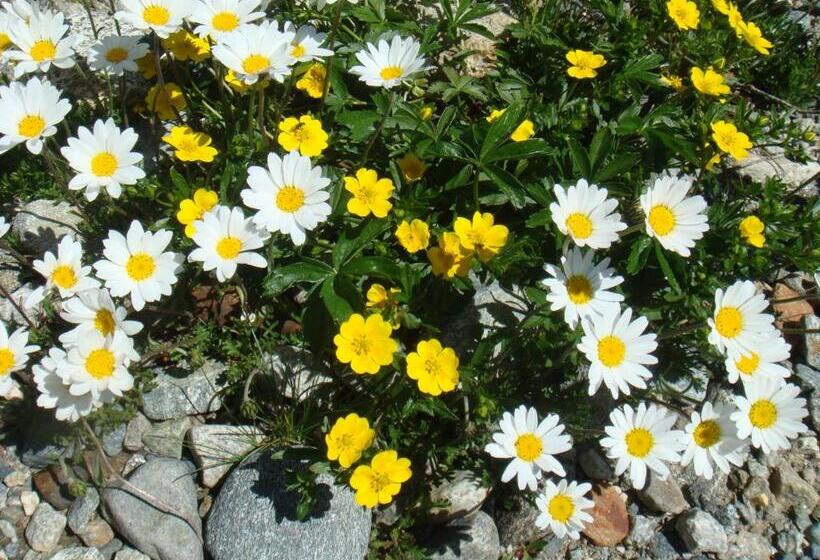 هتل Montjola Nova