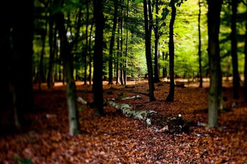 בית מלון כפרי Oranjeoord