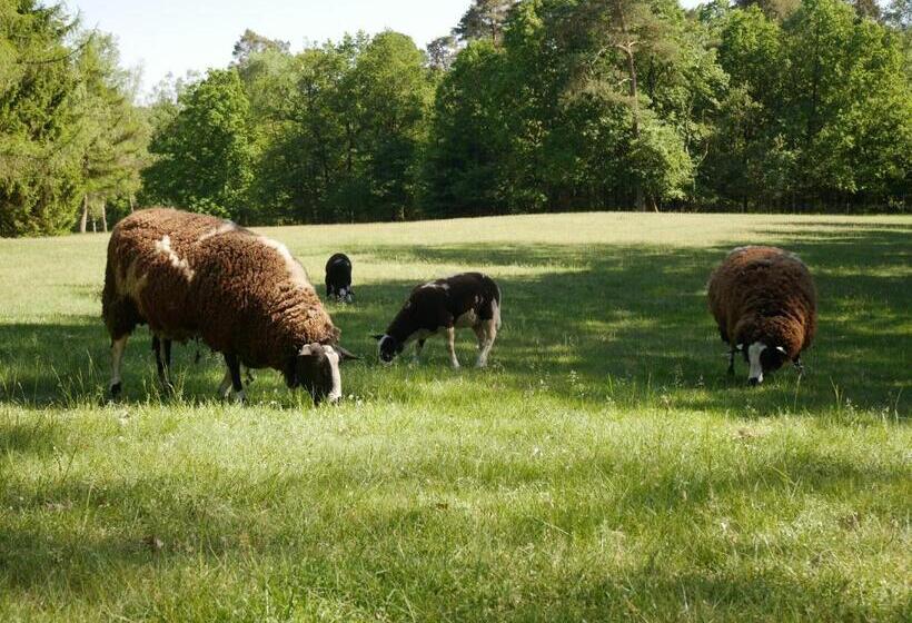 בית מלון כפרי Pegasus