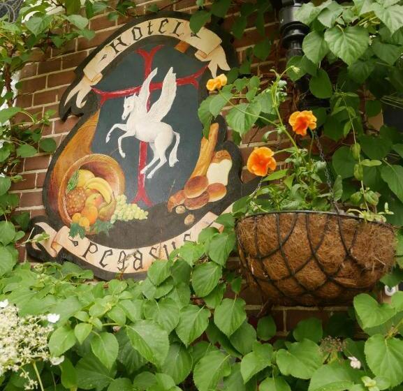 בית מלון כפרי Pegasus