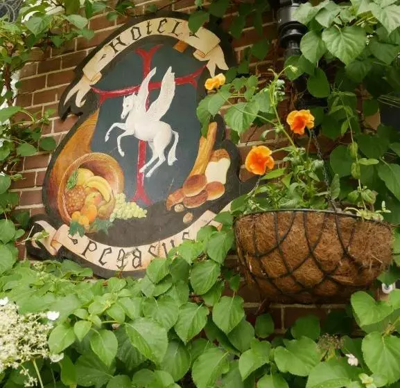 Hotel Pegasus
