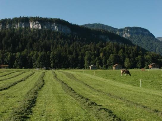 ベッドアンドブレックファースト Pension Rössle