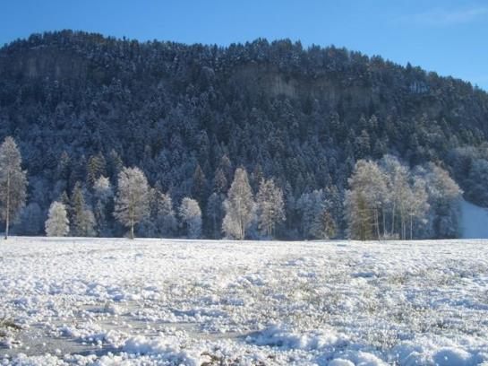 ベッドアンドブレックファースト Pension Rössle