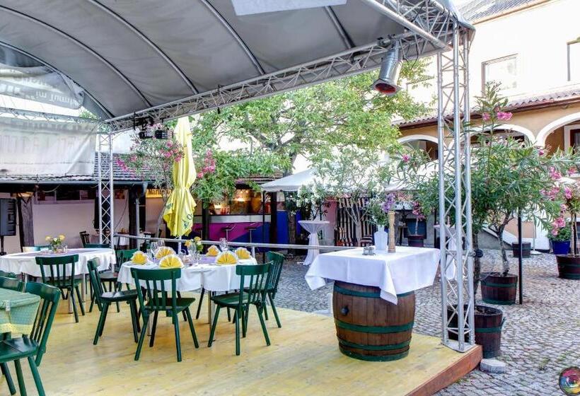 Отель Turmhof Breitenbrunn