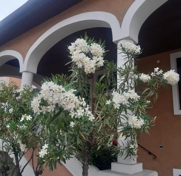 Отель Turmhof Breitenbrunn