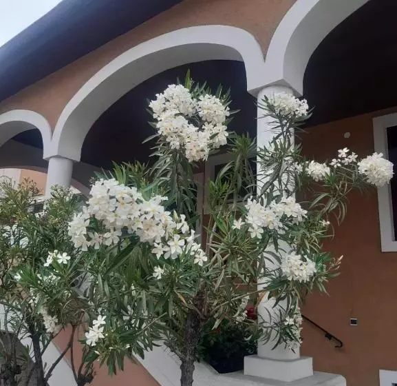 ホテル Turmhof Breitenbrunn