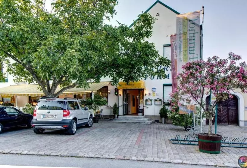 ホテル Turmhof Breitenbrunn