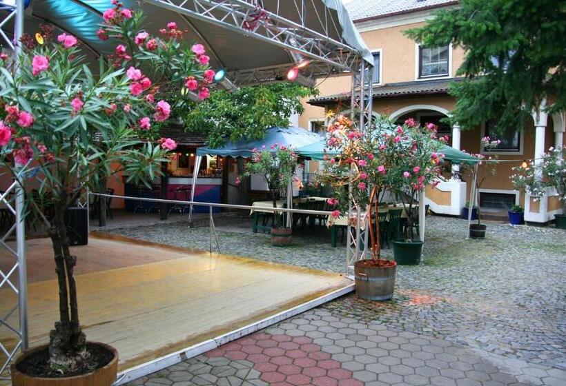 Отель Turmhof Breitenbrunn