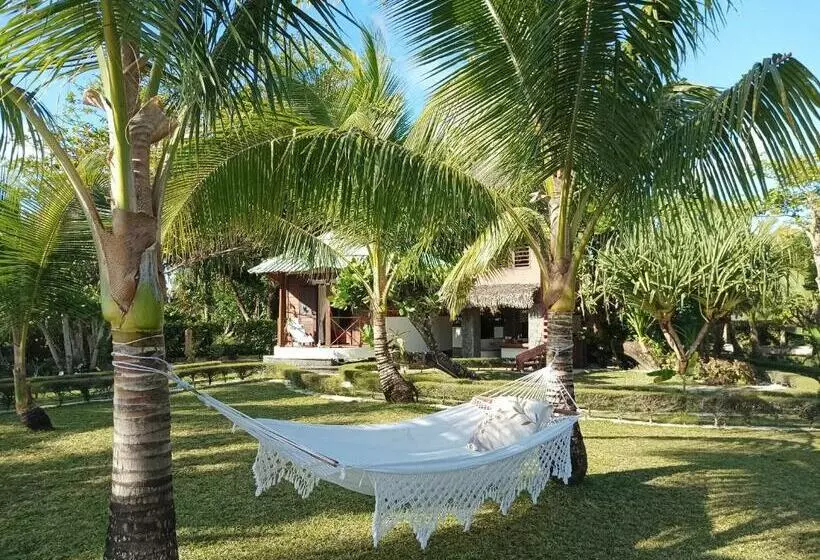 La Tiaré île Aux Nattes