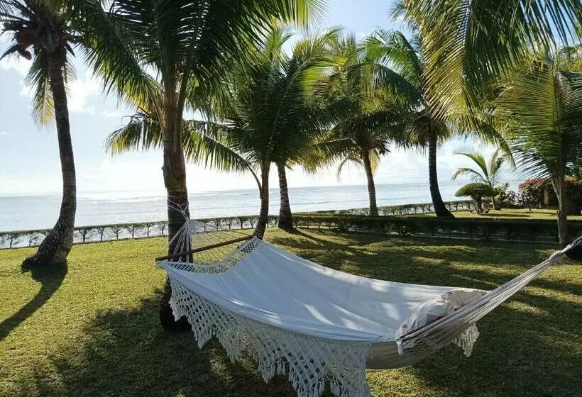 La Tiaré île Aux Nattes