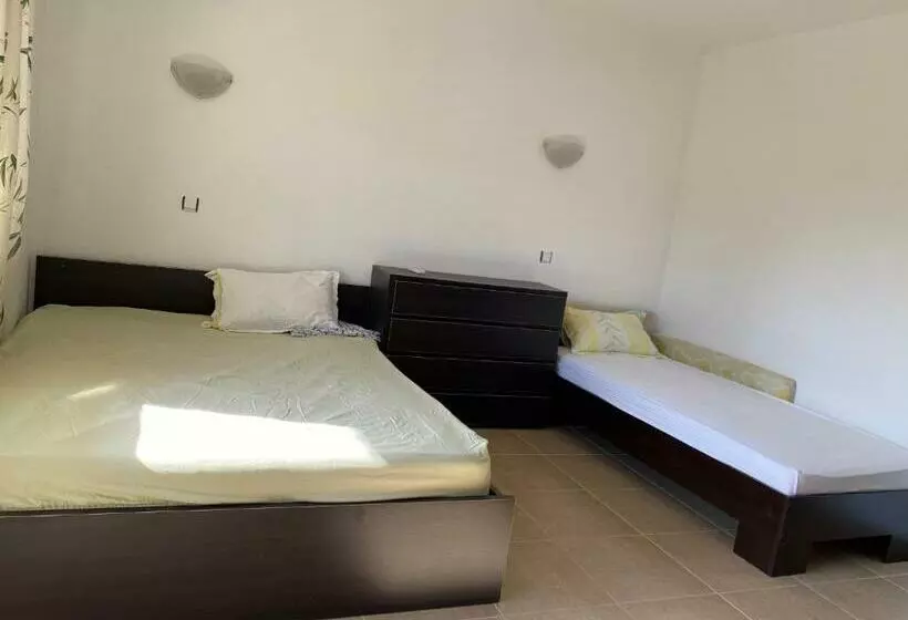 The Modern Apartment In The Ancient City