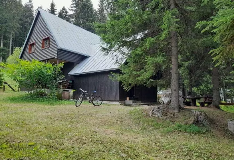 Kleine House