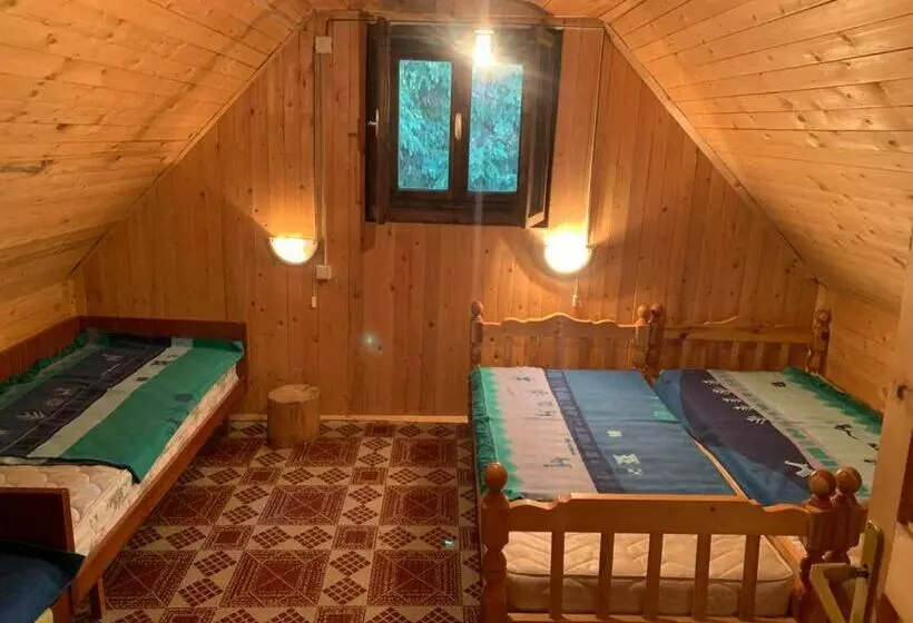 Kleine House