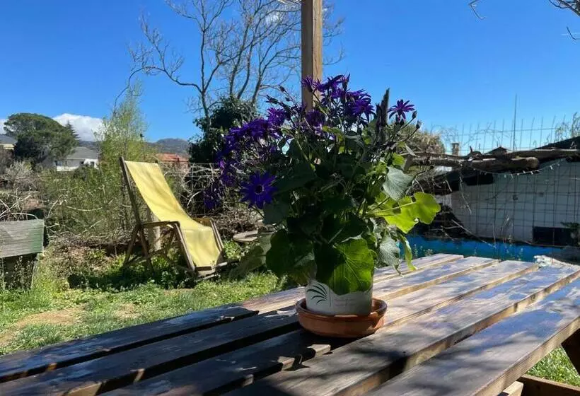 Casa Fidelina I Miraflores De La Sierra