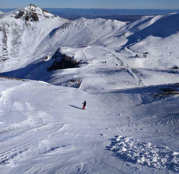 Les Marmottes Du Sancy