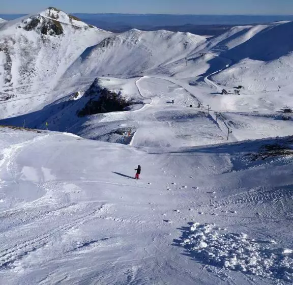 Les Marmottes Du Sancy