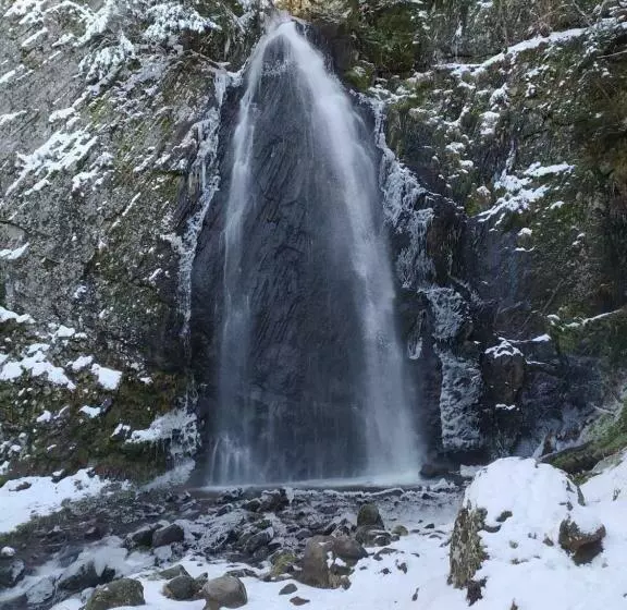 Les Marmottes Du Sancy
