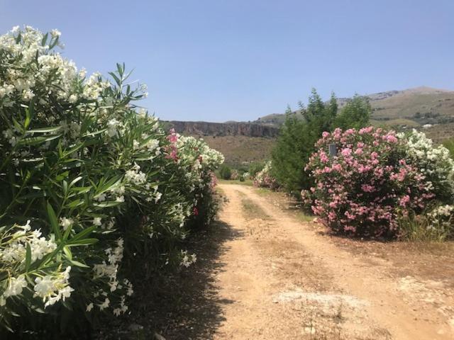 Villa Marina A Scopello