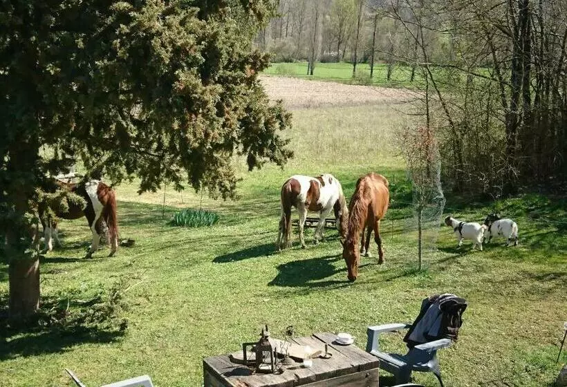 Comfortable Quiet House In The Countryside Porte Du Quercy For 8 People
