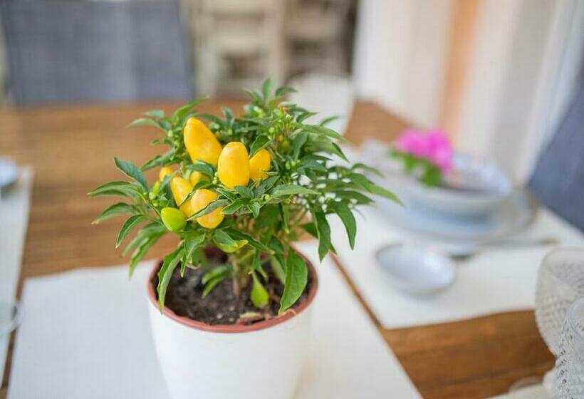 La Villa De Cabo De Palos