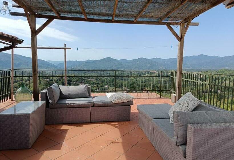 Olivola : Maison Entière Dans Un Cadre Magnifique