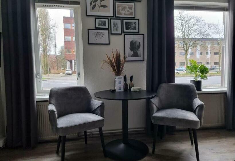 Studio Trenz Stylish Duo Studio