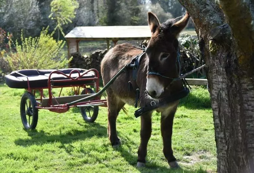 Gite Annarmor Mont St Michel