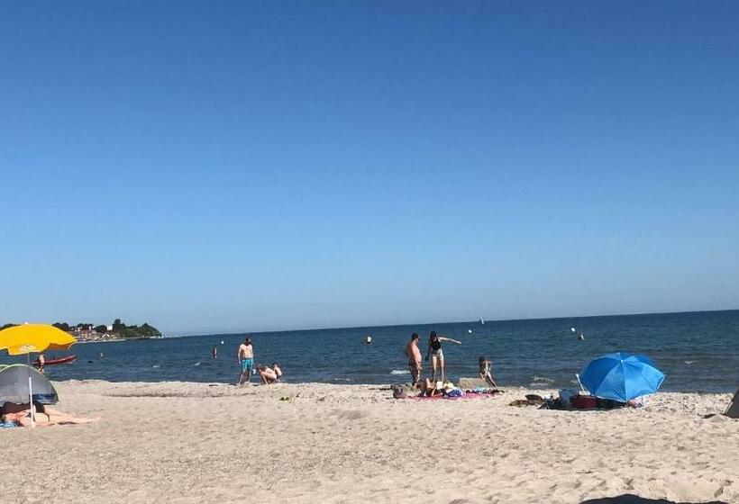 Studio Wohnung In Darry An Der Ostsee Strandnähe