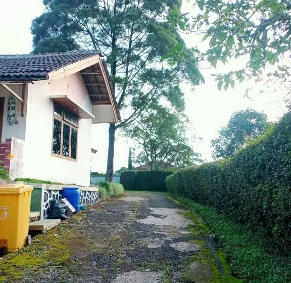 Villa Orchid