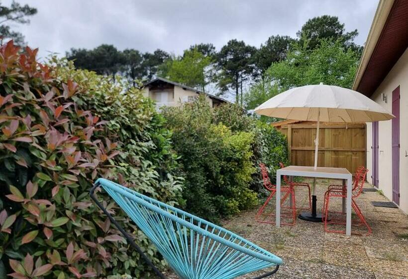 Maison à Proximité Du Canal Et Du Lac De Cazaux