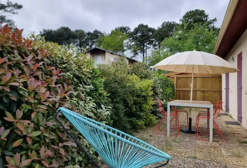 Maison à Proximité Du Canal Et Du Lac De Cazaux