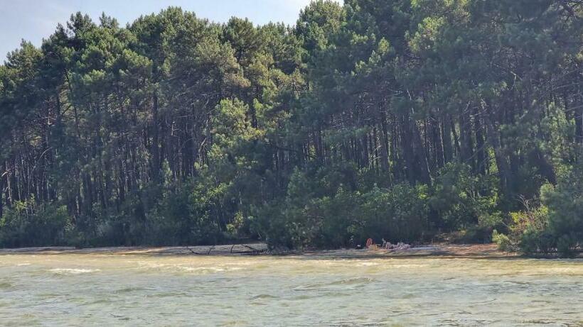 Maison à Proximité Du Canal Et Du Lac De Cazaux