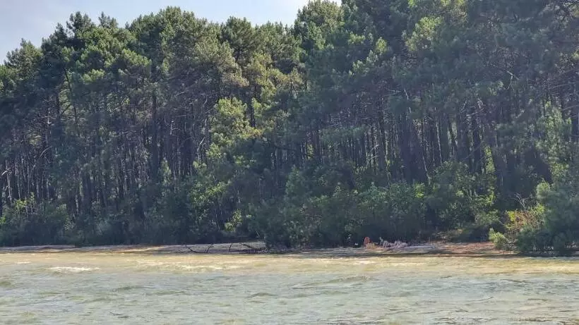 Maison à Proximité Du Canal Et Du Lac De Cazaux